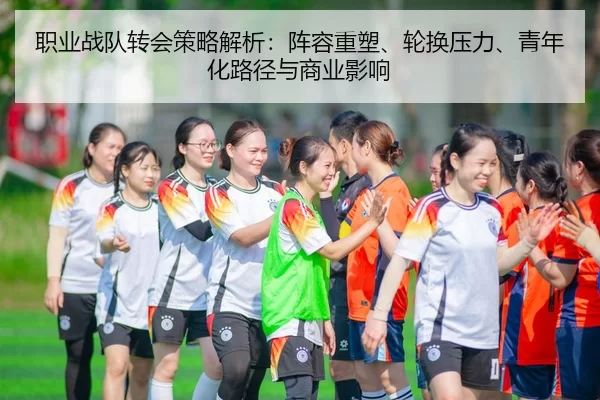 zhi-ye-zhan-dui-zhuan-hui-ce-lve-jie-xi-zhen-rong-zhong-su-lun-huan-ya-li-qing-nian-hua-lu-jing-yu-shang-ye-ying-xiang-2-215.jpg