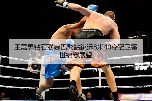 wang-jia-nan-zuan-shi-lian-sai-ba-li-zhan-tiao-yuan-mi-duo-guan-wei-mian-shi-jin-sai-zhan-wang-3-102.jpg